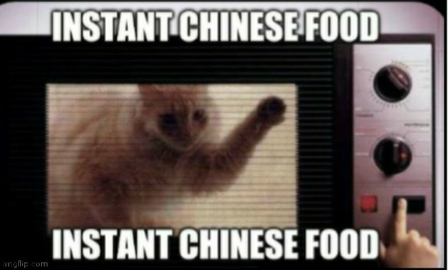 I wanna slap that cat in the butt | image tagged in instant chinese food | made w/ Imgflip meme maker