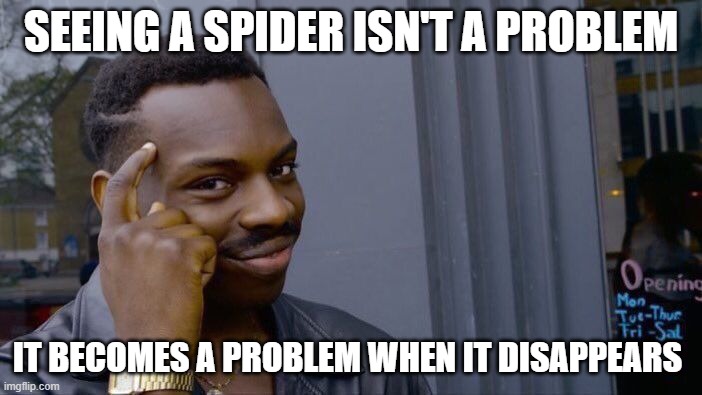 Roll Safe Think About It |  SEEING A SPIDER ISN'T A PROBLEM; IT BECOMES A PROBLEM WHEN IT DISAPPEARS | image tagged in memes,roll safe think about it | made w/ Imgflip meme maker