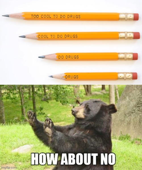 image tagged in memes,how about no bear | made w/ Imgflip meme maker