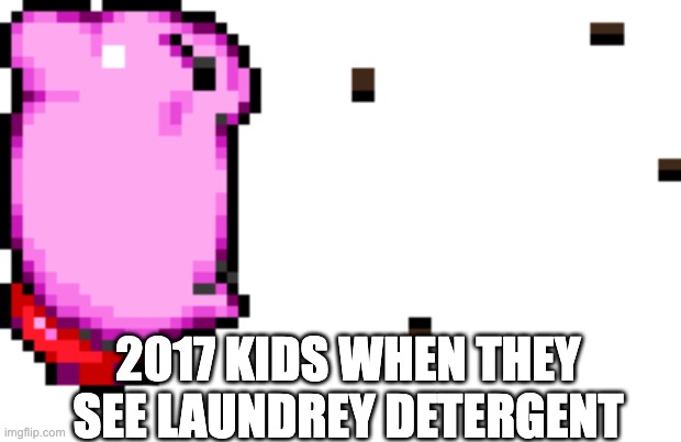  2017 KIDS WHEN THEY SEE LAUNDREY DETERGENT | image tagged in 2017,stupid people | made w/ Imgflip meme maker