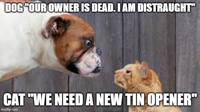 dog cat staredown | DOG "OUR OWNER IS DEAD. I AM DISTRAUGHT"; CAT "WE NEED A NEW TIN OPENER" | image tagged in dog cat staredown | made w/ Imgflip meme maker