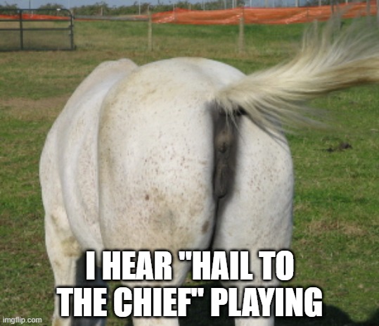 You Get What You Vote For | I HEAR "HAIL TO THE CHIEF" PLAYING | image tagged in horse's ass | made w/ Imgflip meme maker