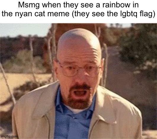 Walter White | Msmg when they see a rainbow in the nyan cat meme (they see the lgbtq flag) | image tagged in walter white | made w/ Imgflip meme maker