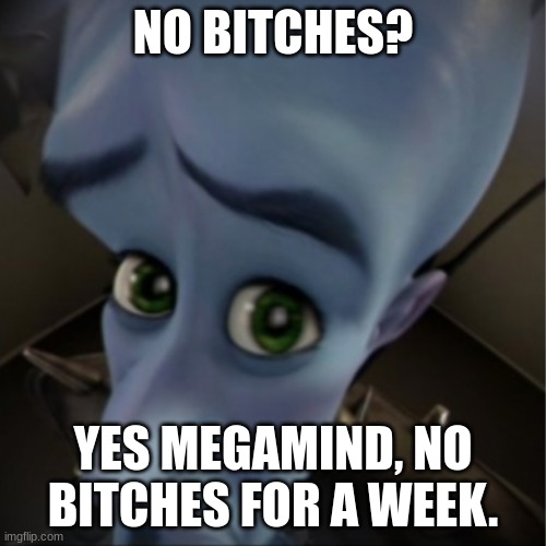 qaaaa | NO BITCHES? YES MEGAMIND, NO BITCHES FOR A WEEK. | image tagged in megamind peeking | made w/ Imgflip meme maker