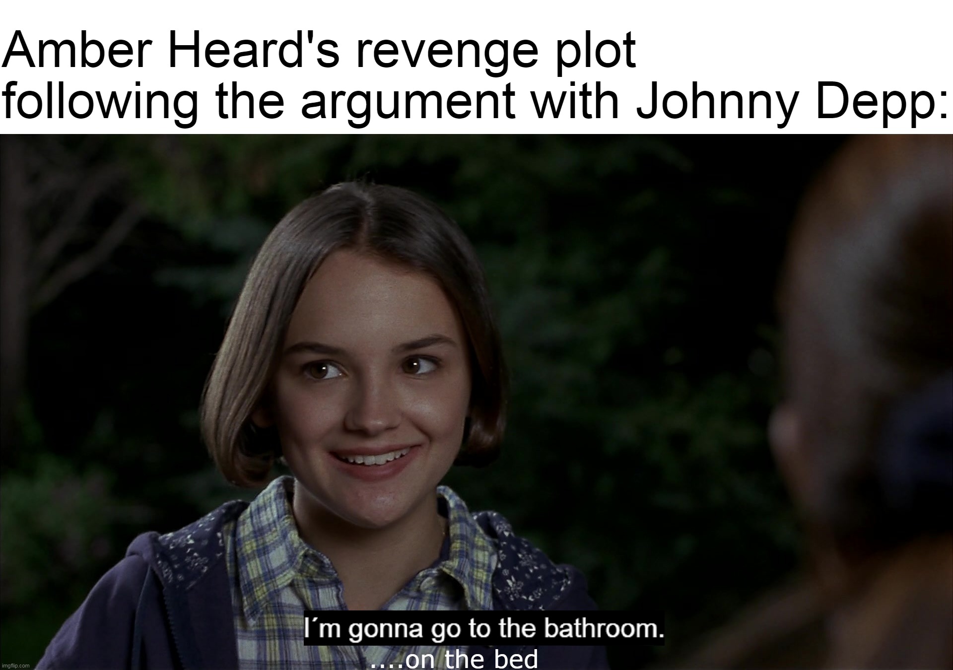 How Many Dogs to Blame It On | Amber Heard's revenge plot following the argument with Johnny Depp:; ....on the bed | image tagged in meme,memes,humor,johnny depp,amber heard | made w/ Imgflip meme maker