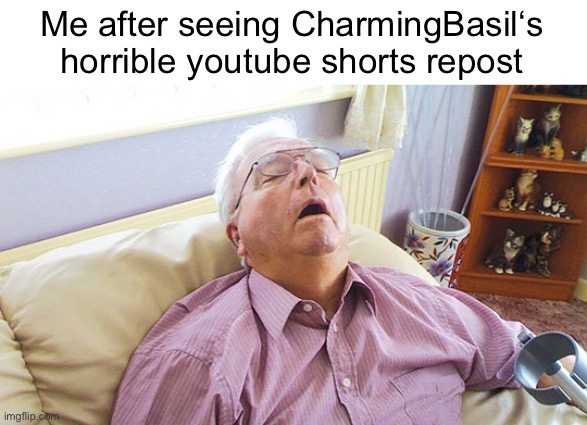 snoresnore | Me after seeing CharmingBasil‘s horrible youtube shorts repost | image tagged in snoresnore | made w/ Imgflip meme maker