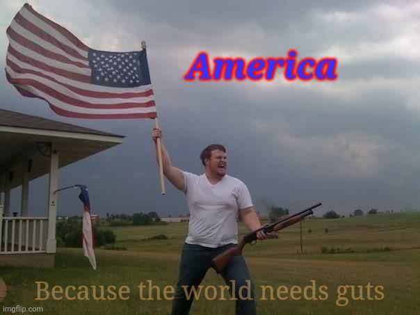 Redneck Shotgun and Flag | America; Because the world needs guts | image tagged in redneck shotgun and flag,because america,america,united states of america,usa,america because the world is jealous | made w/ Imgflip meme maker