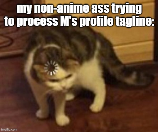 I know you're highly into that, but w t f | my non-anime ass trying to process M's profile tagline: | image tagged in loading cat | made w/ Imgflip meme maker