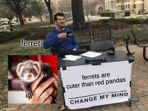 Change My Mind Meme | ferret:; ferrets are cuter than red pandas | image tagged in memes,change my mind | made w/ Imgflip meme maker