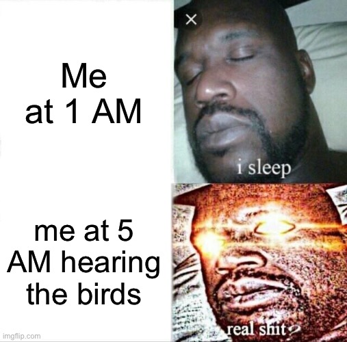 Sleeping Shaq Meme | Me at 1 AM; me at 5 AM hearing the birds | image tagged in memes,sleeping shaq | made w/ Imgflip meme maker