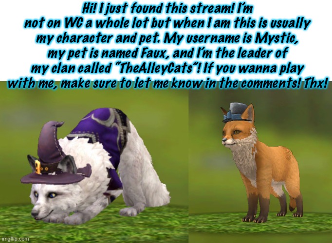 Hi! | Hi! I just found this stream! I’m not on WC a whole lot but when I am this is usually my character and pet. My username is Mystic, my pet is named Faux, and I’m the leader of my clan called “TheAlleyCats”! If you wanna play with me, make sure to let me know in the comments! Thx! | made w/ Imgflip meme maker