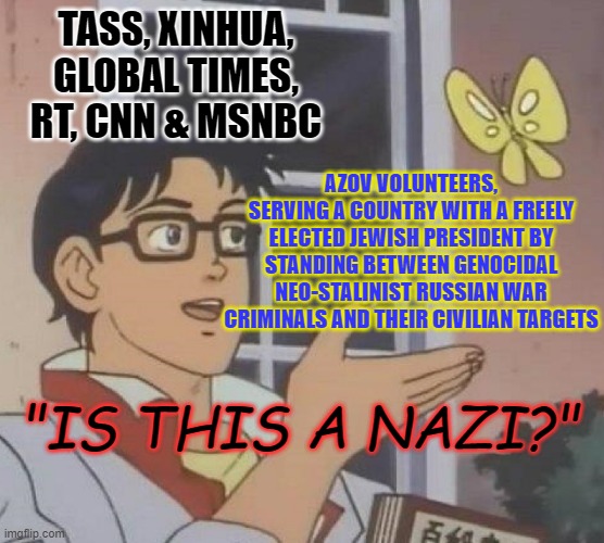 they really are this dumb | TASS, XINHUA, GLOBAL TIMES, RT, CNN & MSNBC; AZOV VOLUNTEERS, SERVING A COUNTRY WITH A FREELY ELECTED JEWISH PRESIDENT BY STANDING BETWEEN GENOCIDAL NEO-STALINIST RUSSIAN WAR CRIMINALS AND THEIR CIVILIAN TARGETS; "IS THIS A NAZI?" | image tagged in memes,is this a pigeon | made w/ Imgflip meme maker