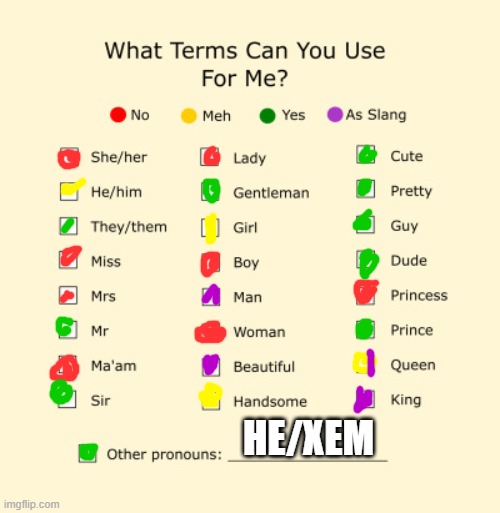 my pronouns | HE/XEM | image tagged in pronouns sheet | made w/ Imgflip meme maker