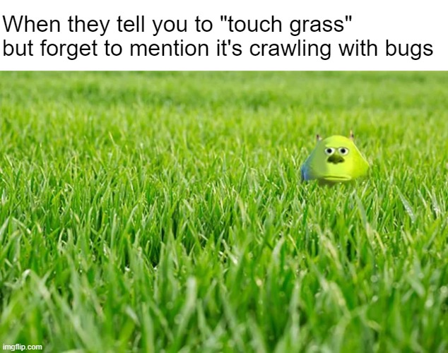 This is NOT fine | When they tell you to "touch grass" but forget to mention it's crawling with bugs | made w/ Imgflip meme maker