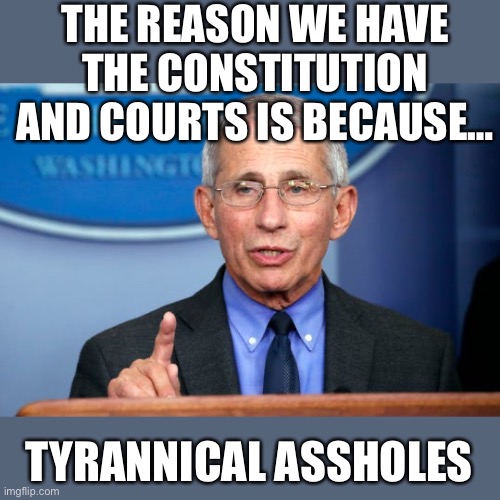 Dr. Fauci | THE REASON WE HAVE THE CONSTITUTION AND COURTS IS BECAUSE…; TYRANNICAL ASSHOLES | image tagged in dr fauci | made w/ Imgflip meme maker