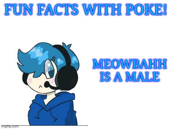 Fun facts with poke | MEOWBAHH IS A MALE | image tagged in fun facts with poke | made w/ Imgflip meme maker