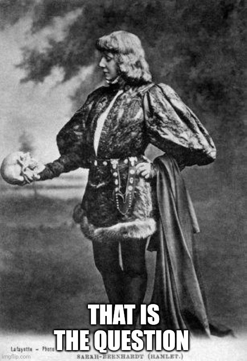 hamlet | THAT IS THE QUESTION | image tagged in hamlet | made w/ Imgflip meme maker
