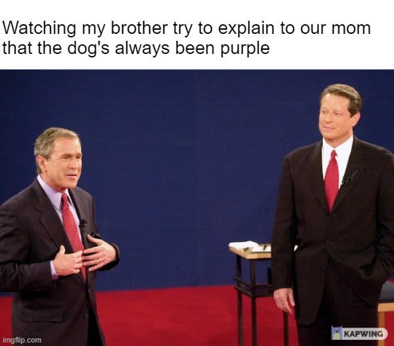 That's called "gaslighting" and it's not okay | Watching my brother try to explain to our mom 
that the dog's always been purple | made w/ Imgflip meme maker