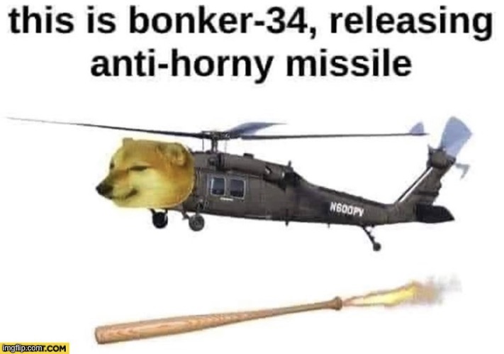 NO HORNY | image tagged in this is bonker-34 realeasing anti horny missile | made w/ Imgflip meme maker