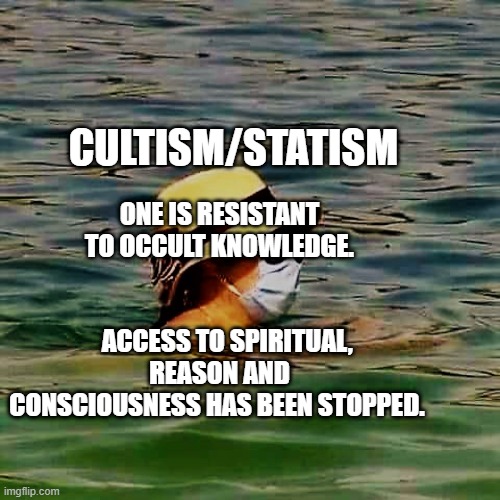 Woman wearing mask in water | ONE IS RESISTANT TO OCCULT KNOWLEDGE.                                           ACCESS TO SPIRITUAL, REASON AND CONSCIOUSNESS HAS BEEN STOPPED. CULTISM/STATISM | image tagged in woman wearing mask in water | made w/ Imgflip meme maker