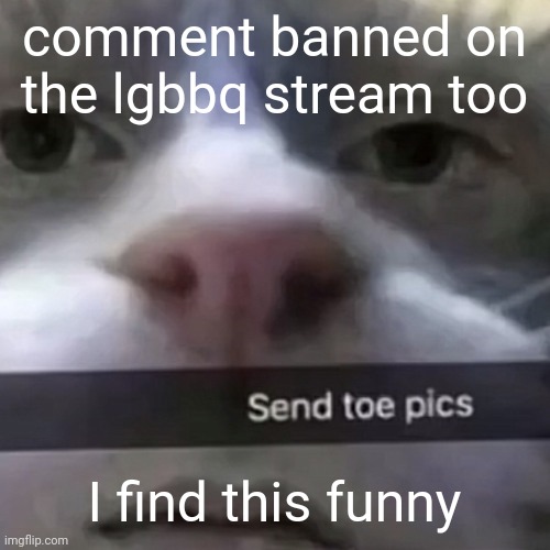 kat | comment banned on the lgbbq stream too; I find this funny | image tagged in kat | made w/ Imgflip meme maker