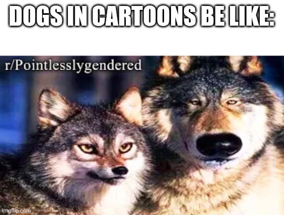 Same | DOGS IN CARTOONS BE LIKE: | image tagged in memes | made w/ Imgflip meme maker