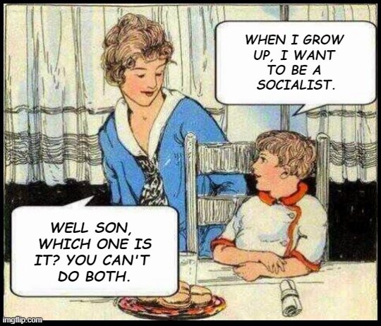 when I grow up  | WHEN I GROW 
UP, I WANT 
TO BE A 
SOCIALIST. WELL SON, 
WHICH ONE IS
IT? YOU CAN'T 
DO BOTH. | image tagged in when i grow up | made w/ Imgflip meme maker