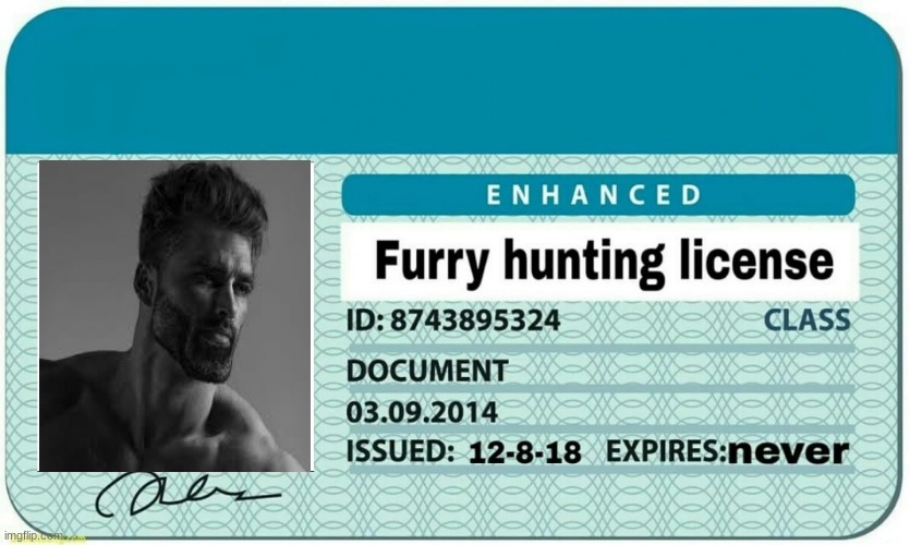 furry hunting license | image tagged in furry hunting license | made w/ Imgflip meme maker