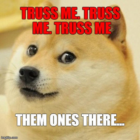 Doge Meme | TRUSS ME. TRUSS ME. TRUSS ME THEM ONES THERE... | image tagged in memes,doge | made w/ Imgflip meme maker