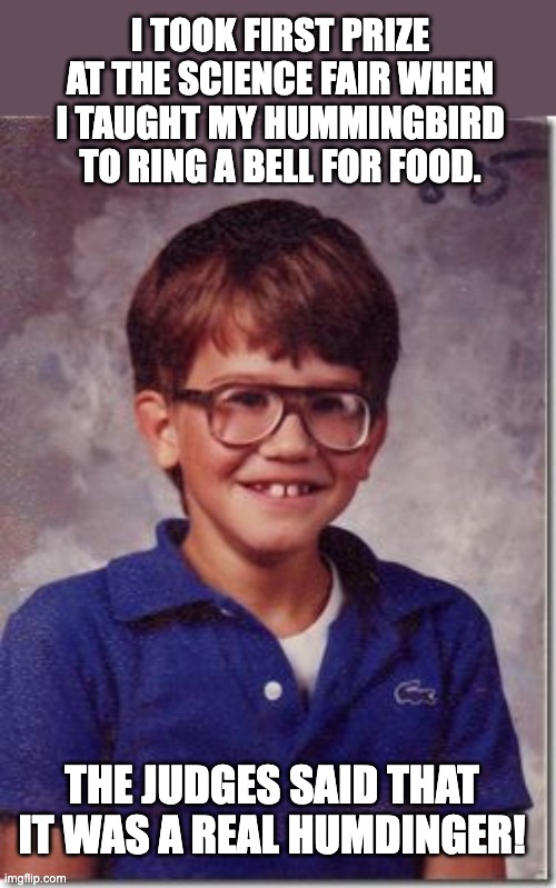 Nerds are what makes modern living possible.  And yes, I am proud to be one of those nerds. | I TOOK FIRST PRIZE AT THE SCIENCE FAIR WHEN I TAUGHT MY HUMMINGBIRD TO RING A BELL FOR FOOD. THE JUDGES SAID THAT IT WAS A REAL HUMDINGER! | image tagged in nerd kid | made w/ Imgflip meme maker