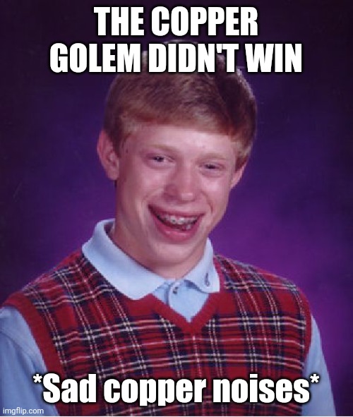 Bad Luck Brian Meme | THE COPPER GOLEM DIDN'T WIN; *Sad copper noises* | image tagged in memes,bad luck brian,funny | made w/ Imgflip meme maker
