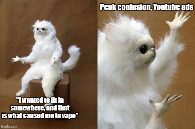 That part of an anti-vape commercial is confusing at that part |  Peak confusion, Youtube ads; "I wanted to fit in somewhere, and that is what caused me to vape" | image tagged in memes,persian cat room guardian,youtube | made w/ Imgflip meme maker