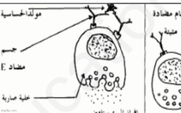 i was working then amogus | made w/ Imgflip meme maker