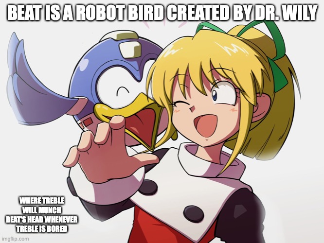 Roll and Beat | BEAT IS A ROBOT BIRD CREATED BY DR. WILY; WHERE TREBLE WILL MUNCH BEAT'S HEAD WHENEVER TREBLE IS BORED | image tagged in megaman,memes | made w/ Imgflip meme maker