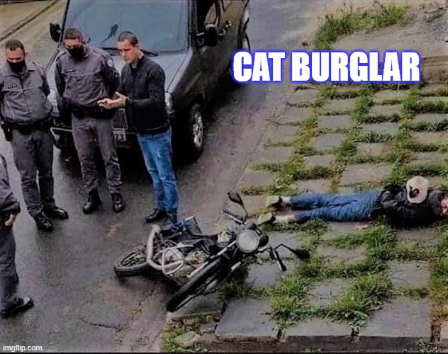 Spot the burglar | CAT BURGLAR | image tagged in cat | made w/ Imgflip meme maker