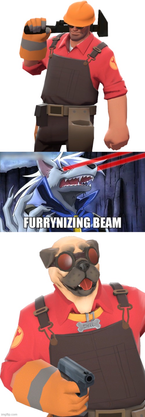 That there is a fine piece of work! | image tagged in furrynizing beam,furry,engineer,tf2,team fortress 2,memes | made w/ Imgflip meme maker