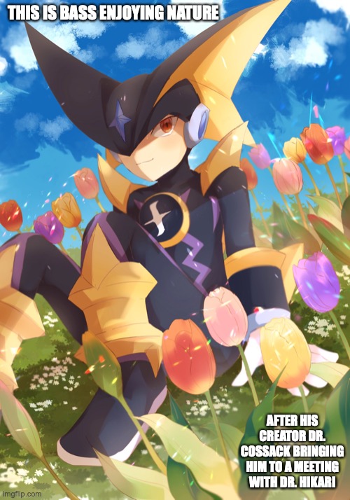 Bass.EXE in the Fields | THIS IS BASS ENJOYING NATURE; AFTER HIS CREATOR DR. COSSACK BRINGING HIM TO A MEETING WITH DR. HIKARI | image tagged in megaman,megaman battle network,memes | made w/ Imgflip meme maker