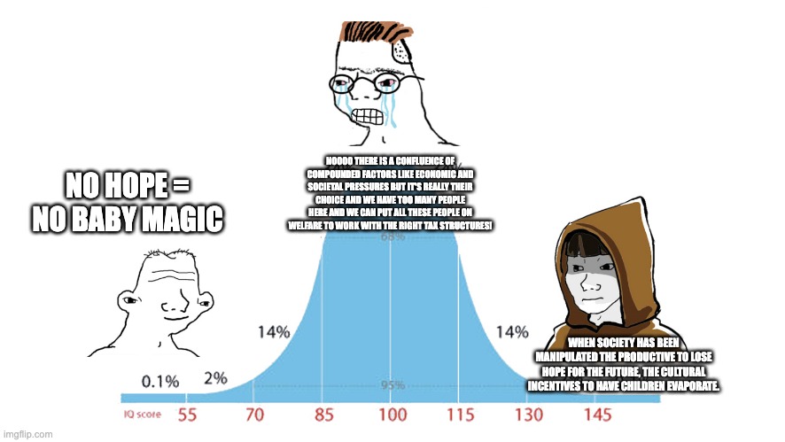 Midwit memes | NOOOO THERE IS A CONFLUENCE OF COMPOUNDED FACTORS LIKE ECONOMIC AND SOCIETAL PRESSURES BUT IT'S REALLY THEIR CHOICE AND WE HAVE TOO MANY PEOPLE HERE AND WE CAN PUT ALL THESE PEOPLE ON WELFARE TO WORK WITH THE RIGHT TAX STRUCTURES! NO HOPE = NO BABY MAGIC; WHEN SOCIETY HAS BEEN MANIPULATED THE PRODUCTIVE TO LOSE HOPE FOR THE FUTURE, THE CULTURAL INCENTIVES TO HAVE CHILDREN EVAPORATE. | image tagged in midwit memes | made w/ Imgflip meme maker