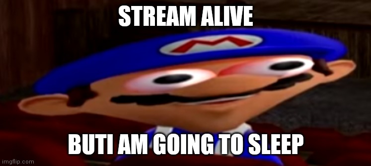 smg4 stare | STREAM ALIVE; BUTI AM GOING TO SLEEP | image tagged in smg4 stare | made w/ Imgflip meme maker