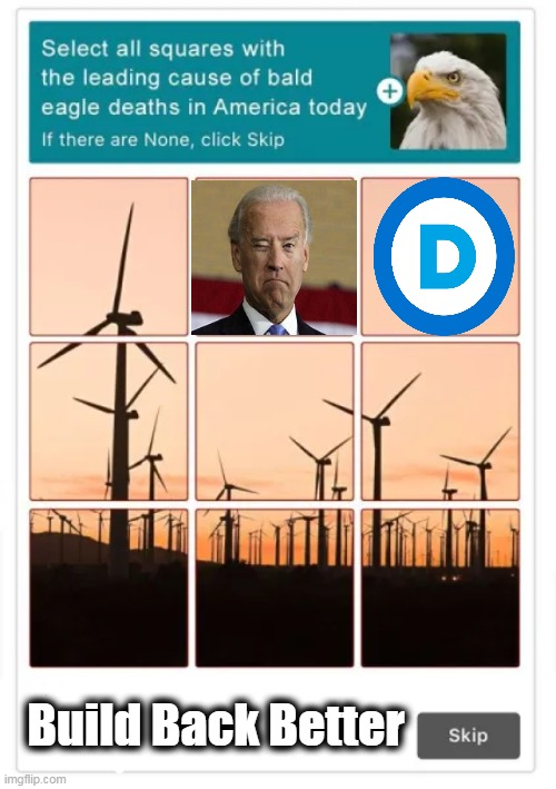 Democrats Select "Skip" .... | Build Back Better | image tagged in political,joe biden,windmills,eagles,build back better,democrats | made w/ Imgflip meme maker