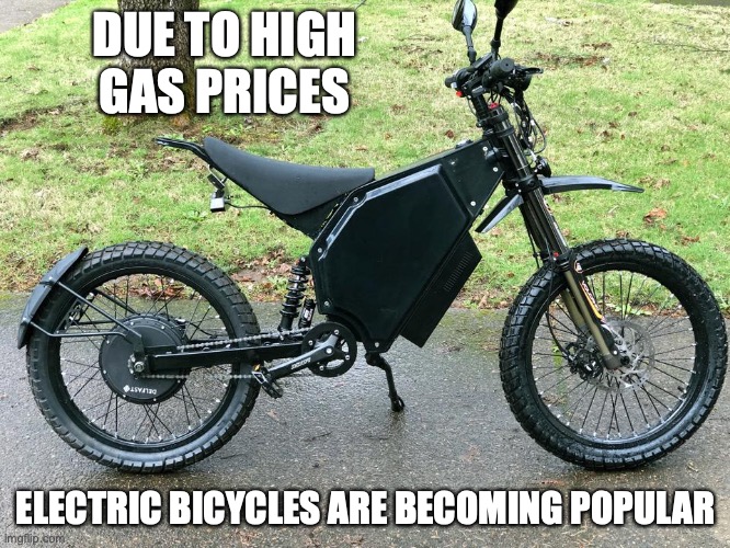 Electric Bicycle | DUE TO HIGH GAS PRICES; ELECTRIC BICYCLES ARE BECOMING POPULAR | image tagged in bicycle,memes | made w/ Imgflip meme maker