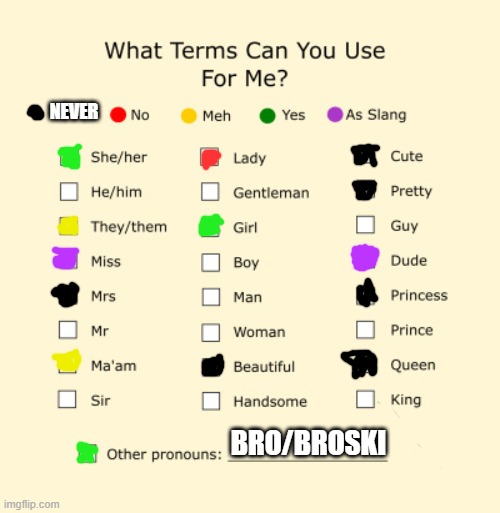 Use wisely | NEVER; BRO/BROSKI | image tagged in pronouns sheet | made w/ Imgflip meme maker