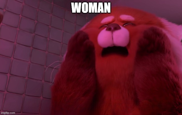 Turning red 9/11 | WOMAN | image tagged in turning red 9/11 | made w/ Imgflip meme maker
