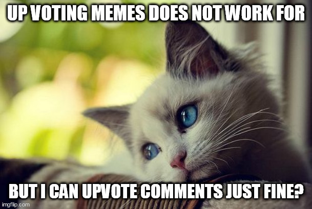 i thought if you liked a meme, you upvote and get points? why does it not stay upvoted? |  UP VOTING MEMES DOES NOT WORK FOR; BUT I CAN UPVOTE COMMENTS JUST FINE? | image tagged in memes,first world problems cat,cat | made w/ Imgflip meme maker