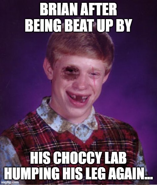 Beat-up Bad Luck Brian | BRIAN AFTER BEING BEAT UP BY HIS CHOCCY LAB HUMPING HIS LEG AGAIN... | image tagged in beat-up bad luck brian | made w/ Imgflip meme maker