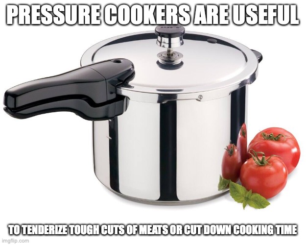 Pressure Cooker | PRESSURE COOKERS ARE USEFUL; TO TENDERIZE TOUGH CUTS OF MEATS OR CUT DOWN COOKING TIME | image tagged in pressure cooker,memes | made w/ Imgflip meme maker