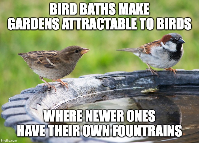 Bird Bath | BIRD BATHS MAKE GARDENS ATTRACTABLE TO BIRDS; WHERE NEWER ONES HAVE THEIR OWN FOUNTRAINS | image tagged in bird bath,memes | made w/ Imgflip meme maker