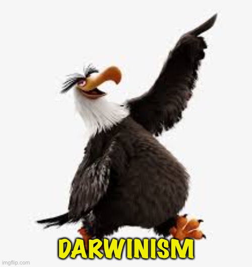 angry birds eagle | DARWINISM | image tagged in angry birds eagle | made w/ Imgflip meme maker