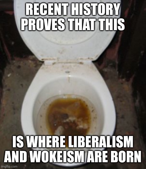 VERY DIRTY TOILET | RECENT HISTORY PROVES THAT THIS IS WHERE LIBERALISM AND WOKEISM ARE BORN | image tagged in very dirty toilet | made w/ Imgflip meme maker
