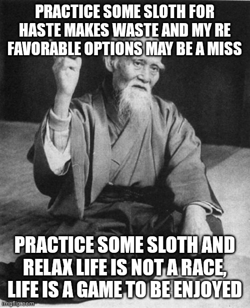 The teachings of The seven human desires: SLOTH | PRACTICE SOME SLOTH FOR HASTE MAKES WASTE AND MY RE FAVORABLE OPTIONS MAY BE A MISS; PRACTICE SOME SLOTH AND RELAX LIFE IS NOT A RACE, LIFE IS A GAME TO BE ENJOYED | image tagged in wise master,desires,teachings,wisdom | made w/ Imgflip meme maker